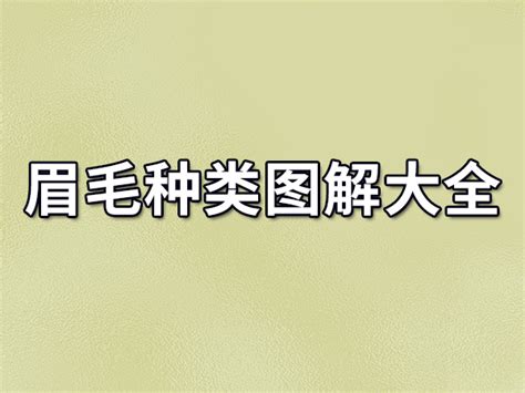 眉毛面相 男|眉毛面相图解大全：28种眉毛类型图文详细分析！